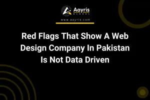 Red Flags That Show A Web Design Company In Pakistan Is Not Data Driven