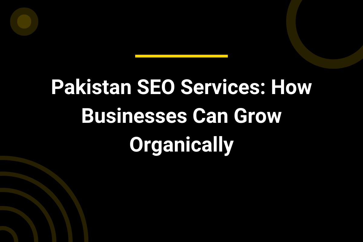 Pakistan SEO Services How Businesses Can Grow Organically